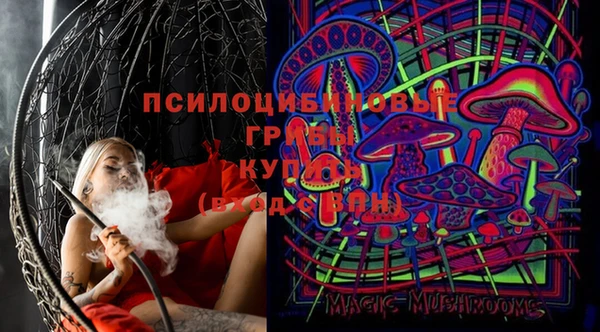 apvp Верея